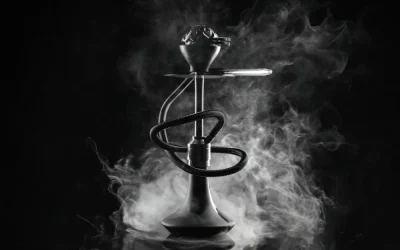 Shisha Model