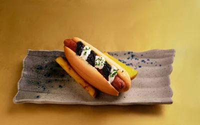 hot dog burger
