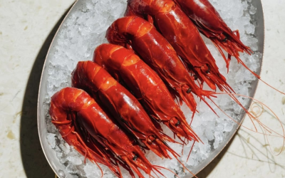 red prawns set on the ice